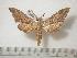  ( - BC-Basq0255)  @13 [ ] Copyright (2010) Unspecified Research Collection of Patrick Basquin