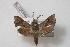 ( - BC-Basq0379)  @13 [ ] Copyright (2010) Unspecified Research Collection of Patrick Basquin