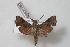  ( - BC-Basq0380)  @13 [ ] Copyright (2010) Unspecified Research Collection of Patrick Basquin