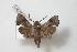  ( - BC-Basq0381)  @13 [ ] Copyright (2010) Unspecified Research Collection of Patrick Basquin