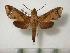  ( - BC-Basq0395)  @13 [ ] Copyright (2010) Unspecified Research Collection of Patrick Basquin