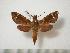  ( - BC-Basq0409)  @14 [ ] Copyright (2010) Unspecified Research Collection of Patrick Basquin