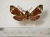  ( - BC-Basq0415)  @13 [ ] Copyright (2010) Unspecified Research Collection of Patrick Basquin