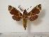  ( - BC-Basq0419)  @14 [ ] Copyright (2010) Unspecified Research Collection of Patrick Basquin