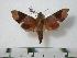  ( - BC-Basq0442)  @13 [ ] Copyright (2010) Unspecified Research Collection of Patrick Basquin