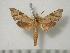  ( - BC-Basq0456)  @13 [ ] Copyright (2010) Unspecified Research Collection of Patrick Basquin