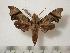  ( - BC-Basq0461)  @14 [ ] Copyright (2010) Unspecified Research Collection of Patrick Basquin