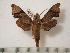  ( - BC-Basq0465)  @13 [ ] Copyright (2010) Unspecified Research Collection of Patrick Basquin