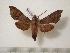  ( - BC-Basq0469)  @13 [ ] Copyright (2010) Unspecified Research Collection of Patrick Basquin