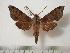  ( - BC-Basq0470)  @13 [ ] Copyright (2010) Unspecified Research Collection of Patrick Basquin
