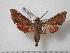  ( - BC-Basq0482)  @13 [ ] Copyright (2010) Unspecified Research Collection of Patrick Basquin