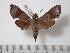  ( - BC-Basq0508)  @13 [ ] Copyright (2010) Unspecified Research Collection of Patrick Basquin