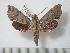  ( - BC-Basq0511)  @13 [ ] Copyright (2010) Unspecified Research Collection of Patrick Basquin