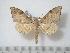  ( - BC-Basq0058)  @14 [ ] Copyright (2010) Unspecified Research Collection of Patrick Basquin