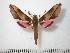  ( - BC-Basq0646)  @13 [ ] Copyright (2010) Unspecified Research Collection of Patrick Basquin
