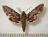  ( - BC-Basq0658)  @13 [ ] Copyright (2010) Unspecified Research Collection of Patrick Basquin