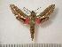  ( - BC-Basq0663)  @14 [ ] Copyright (2010) Unspecified Research Collection of Patrick Basquin