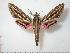  ( - BC-Basq0672)  @14 [ ] Copyright (2010) Unspecified Research Collection of Patrick Basquin
