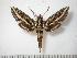  ( - BC-Basq0676)  @14 [ ] Copyright (2010) Unspecified Research Collection of Patrick Basquin