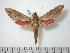  ( - BC-Basq0679)  @14 [ ] Copyright (2010) Unspecified Research Collection of Patrick Basquin