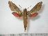  ( - BC-Basq0681)  @14 [ ] Copyright (2010) Unspecified Research Collection of Patrick Basquin