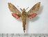  ( - BC-Basq0682)  @14 [ ] Copyright (2010) Unspecified Research Collection of Patrick Basquin