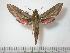  ( - BC-Basq0683)  @13 [ ] Copyright (2010) Unspecified Research Collection of Patrick Basquin