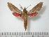  ( - BC-Basq0687)  @14 [ ] Copyright (2010) Unspecified Research Collection of Patrick Basquin