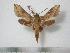  ( - BC-Basq0717)  @13 [ ] Copyright (2010) Unspecified Research Collection of Patrick Basquin