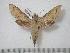  ( - BC-Basq0726)  @14 [ ] Copyright (2010) Unspecified Research Collection of Patrick Basquin