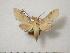 ( - BC-Basq0734)  @13 [ ] Copyright (2010) Unspecified Research Collection of Patrick Basquin