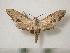  ( - BC-Basq0736)  @14 [ ] Copyright (2010) Unspecified Research Collection of Patrick Basquin