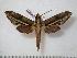 ( - BC-Basq0742)  @14 [ ] Copyright (2010) Unspecified Research Collection of Patrick Basquin