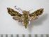  ( - BC-Basq0762)  @14 [ ] Copyright (2010) Unspecified Research Collection of Patrick Basquin