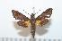  ( - BC-Basq 2188)  @13 [ ] Copyright (2010) Unspecified Research Collection of Patrick Basquin