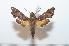  ( - BC-Basq 2191)  @13 [ ] Copyright (2010) Unspecified Research Collection of Patrick Basquin