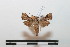  ( - BC-Basq 2702)  @14 [ ] Copyright (2010) Unspecified Research Collection of Patrick Basquin