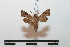  ( - BC-Basq 2703)  @12 [ ] Copyright (2010) Unspecified Research Collection of Patrick Basquin
