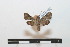  ( - BC-Basq 2708)  @13 [ ] Copyright (2010) Unspecified Research Collection of Patrick Basquin