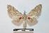  ( - BC-Basq 2727)  @13 [ ] Copyright (2010) Unspecified Research Collection of Patrick Basquin