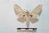  ( - BC-Basq 2728)  @13 [ ] Copyright (2010) Unspecified Research Collection of Patrick Basquin