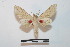  ( - BC-Basq 2729)  @13 [ ] Copyright (2010) Unspecified Research Collection of Patrick Basquin