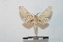  ( - BC-Basq 2730)  @13 [ ] Copyright (2010) Unspecified Research Collection of Patrick Basquin