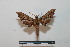  ( - BC-Basq 2734)  @13 [ ] Copyright (2010) Unspecified Research Collection of Patrick Basquin