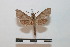  ( - BC-Basq 2747)  @12 [ ] Copyright (2010) Unspecified Research Collection of Patrick Basquin
