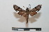  ( - BC-Basq 2755)  @13 [ ] Copyright (2010) Unspecified Research Collection of Patrick Basquin