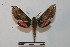  ( - BC-Basq 2779)  @12 [ ] Copyright (2010) Unspecified Research Collection of Patrick Basquin