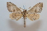  ( - BC-Basq 2569)  @13 [ ] Copyright (2010) Unspecified Research Collection of Patrick Basquin
