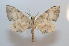  ( - BC-Basq 2570)  @13 [ ] Copyright (2010) Unspecified Research Collection of Patrick Basquin