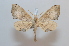  ( - BC-Basq 2571)  @13 [ ] Copyright (2010) Unspecified Research Collection of Patrick Basquin